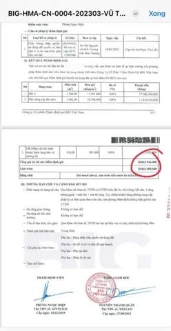 Bất động sản tại Bình Dương - ảnh 1