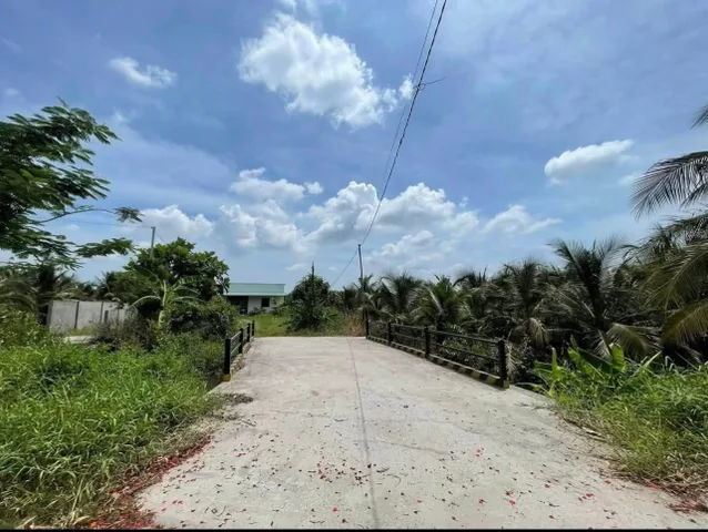 Bất động sản tại Bình Dương - ảnh 1