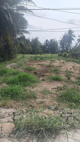 Bất động sản tại Long An - ảnh 1
