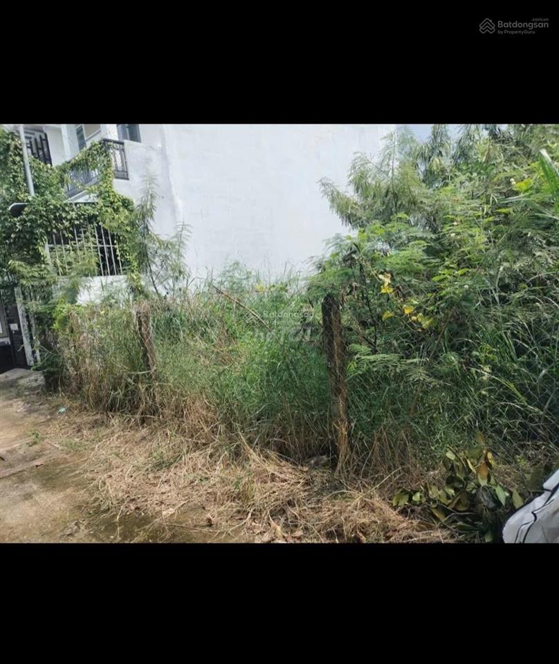Bất động sản tại Long An - ảnh 1