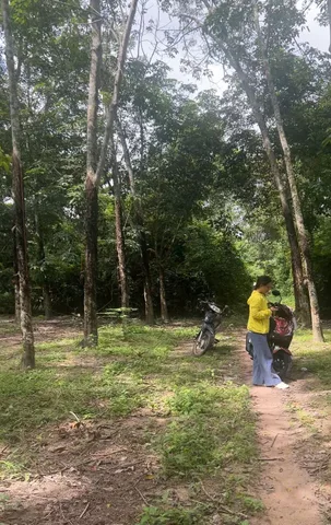 Bất động sản tại Tây Ninh - ảnh 1