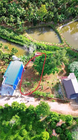 Bất động sản tại Đắk Lắk - ảnh 1