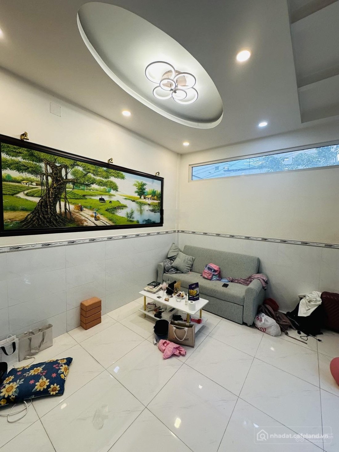 Bất động sản tại TP. Hồ Chí Minh - ảnh 1