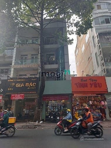 Bất động sản tại TP. Hồ Chí Minh - ảnh 1