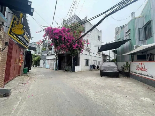 Bất động sản tại Đà Nẵng - ảnh 1