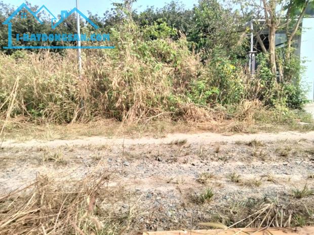 Bất động sản tại Bà Rịa - Vũng Tàu - ảnh 1