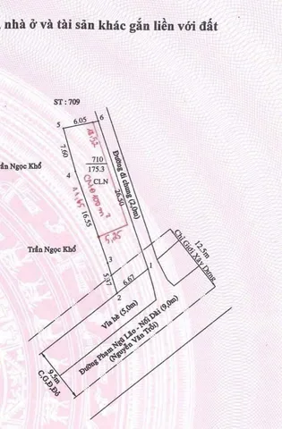 Bất động sản tại Bình Dương - ảnh 1