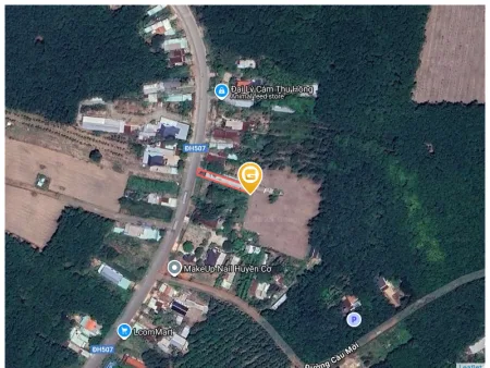 Bất động sản tại Bình Dương - ảnh 1