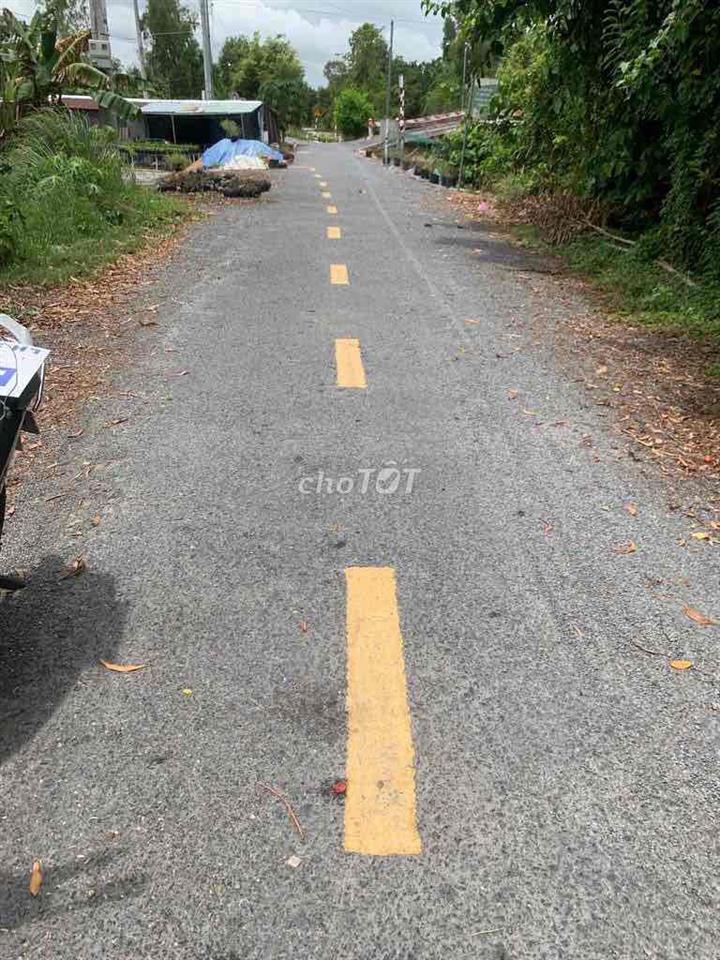 Bất động sản tại Đồng Tháp - ảnh 1