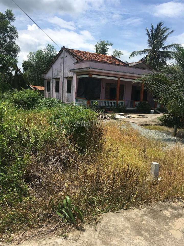 Bất động sản tại Long An - ảnh 1