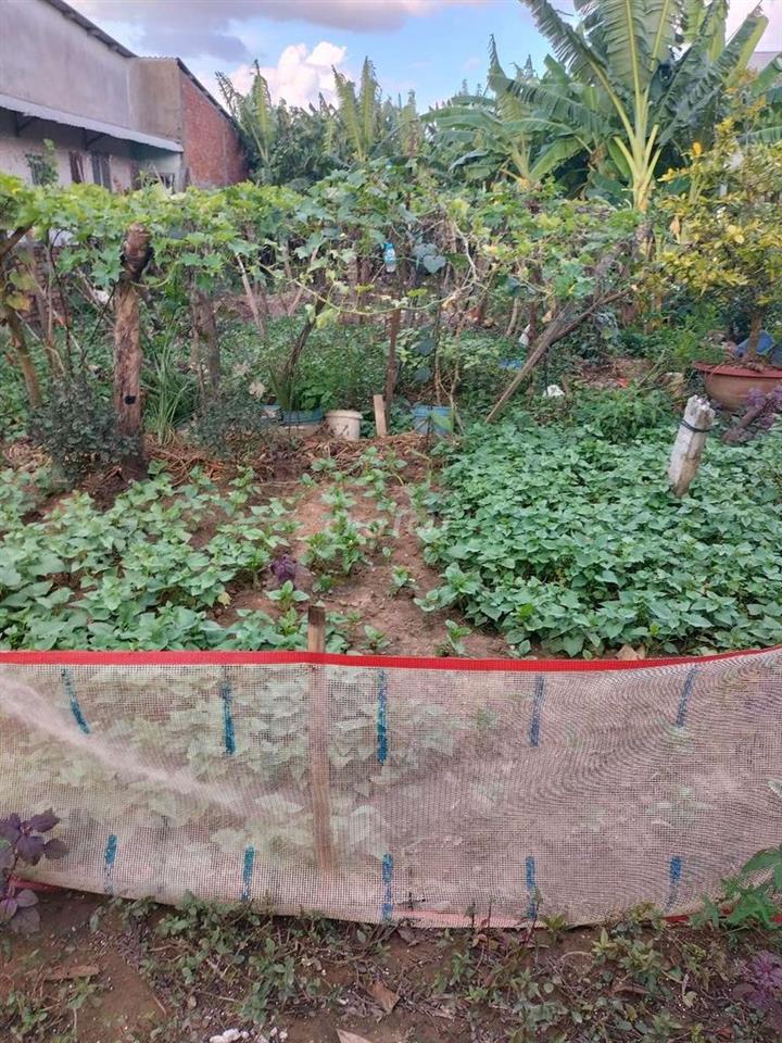 Bất động sản tại Tiền Giang - ảnh 1