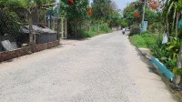 Bất động sản tại Bình Dương - ảnh 1