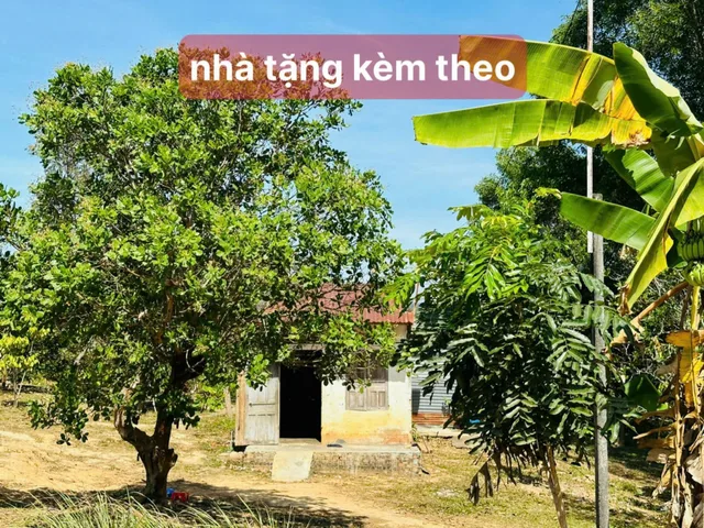 Bất động sản tại Đắk Lắk - ảnh 1