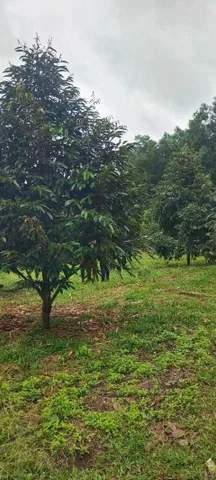 Bất động sản tại Đồng Nai - ảnh 1