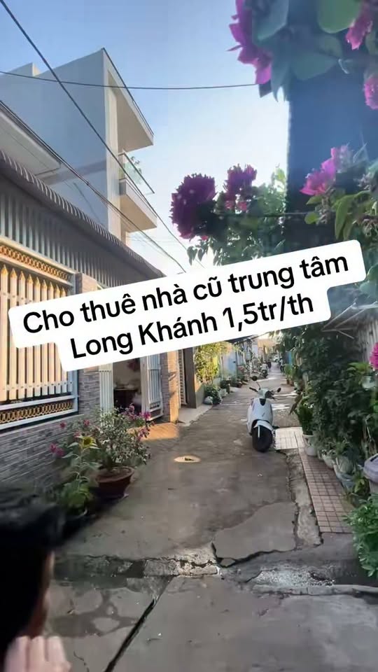 Bất động sản tại Đồng Nai - ảnh 1