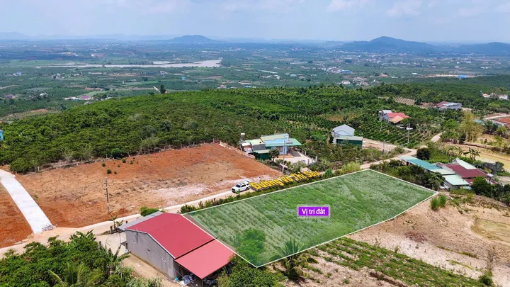 Bất động sản tại Lâm Đồng - ảnh 1