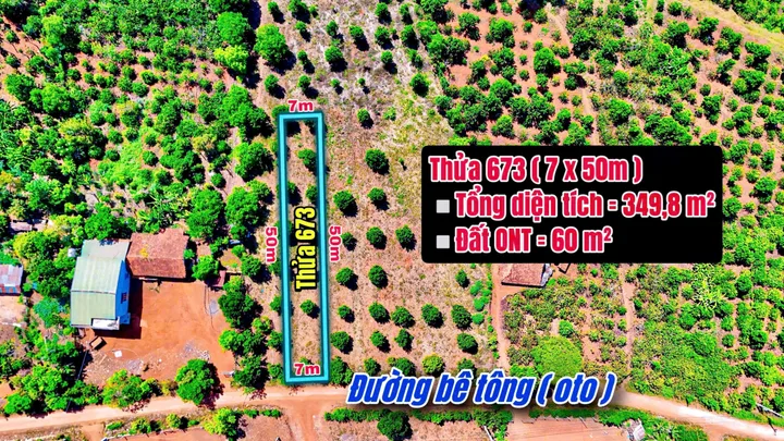 Bất động sản tại Đắk Lắk - ảnh 1