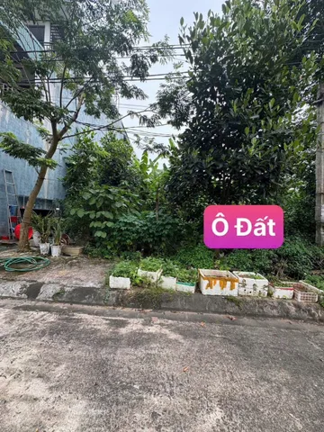 Bất động sản tại Phú Thọ - ảnh 1