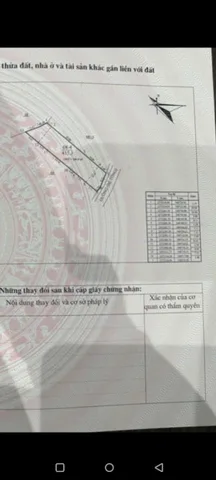 Bất động sản tại Phú Thọ - ảnh 1