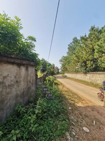 Bất động sản tại Phú Thọ - ảnh 1