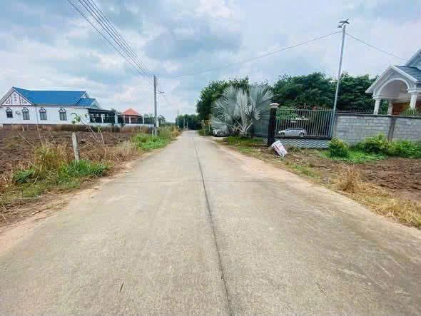 Bất động sản tại Đồng Nai - ảnh 1