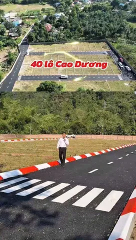 Bất động sản tại Phú Thọ - ảnh 1