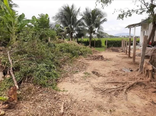 Bất động sản tại Khánh Hòa - ảnh 1