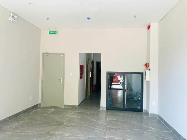 Bất động sản tại Đà Nẵng - ảnh 1