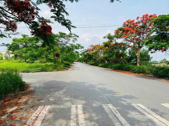 Bất động sản tại Hải Phòng - ảnh 1