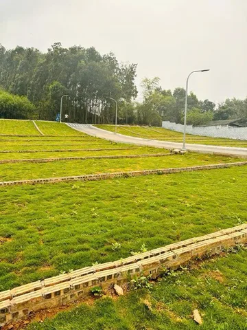 Bất động sản tại Phú Thọ - ảnh 1