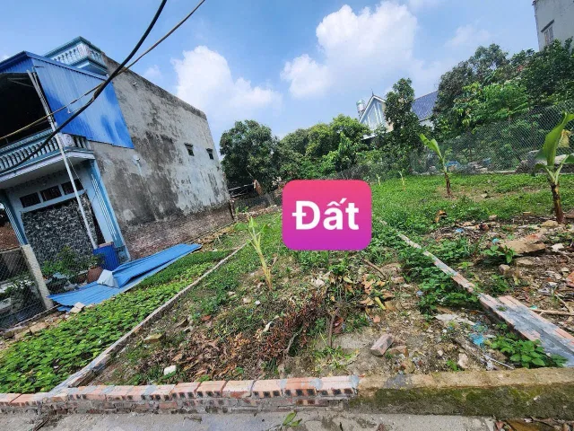 Bất động sản tại Hưng Yên - ảnh 1