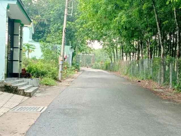 Bất động sản tại Bình Dương - ảnh 1