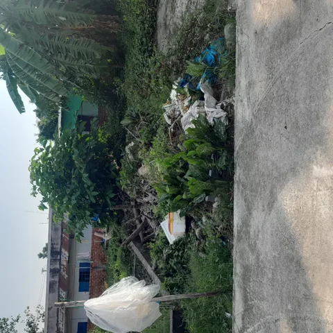 Bất động sản tại An Giang - ảnh 1