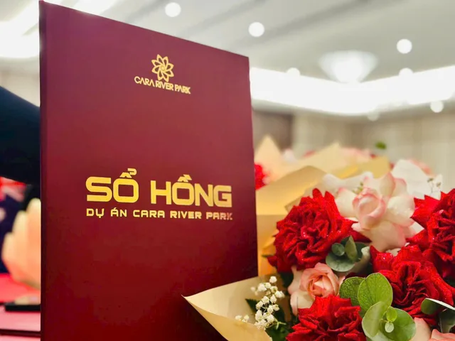 Bất động sản tại Cần Thơ - ảnh 1