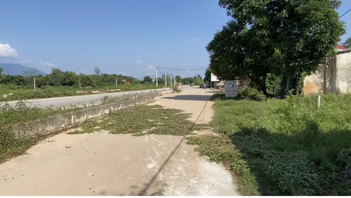 Bất động sản tại Phú Thọ - ảnh 1