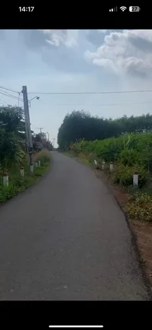 Bất động sản tại Đồng Nai - ảnh 1