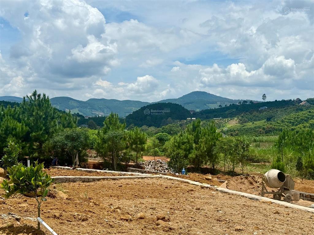 Bất động sản tại Lâm Đồng - ảnh 1