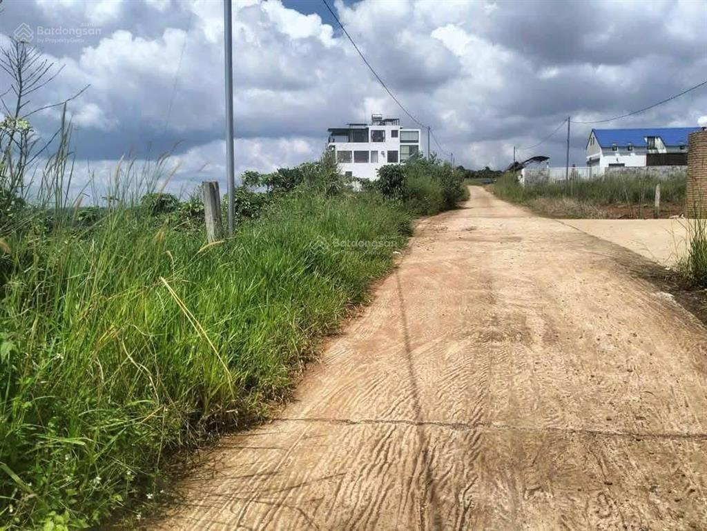 Bất động sản tại Lâm Đồng - ảnh 1