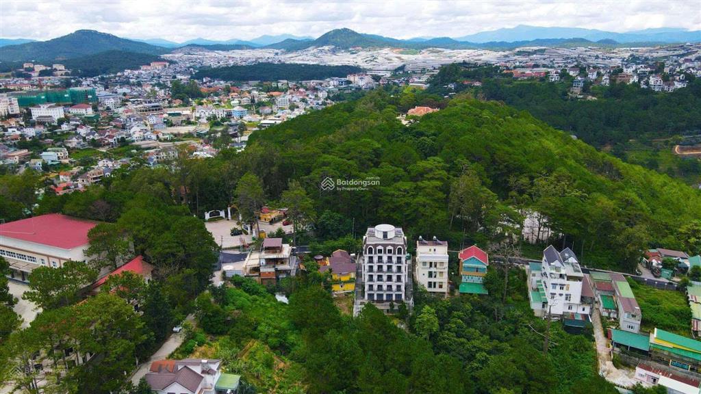 Bất động sản tại Lâm Đồng - ảnh 1