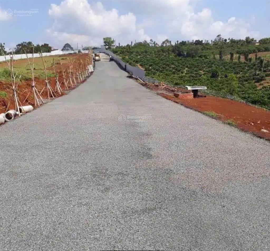 Bất động sản tại Lâm Đồng - ảnh 1