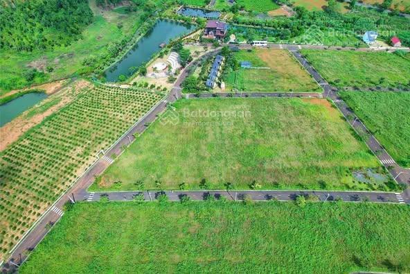 Bất động sản tại Lâm Đồng - ảnh 1