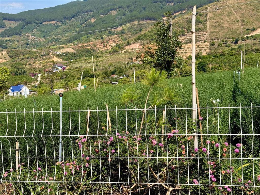 Bất động sản tại Lâm Đồng - ảnh 1