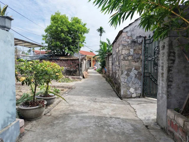 Bất động sản tại Hải Phòng - ảnh 1