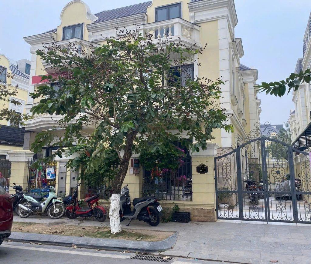 Bất động sản tại Hà Nội - ảnh 1