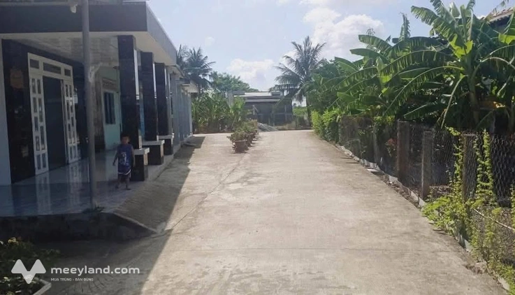 Bất động sản tại Long An - ảnh 1