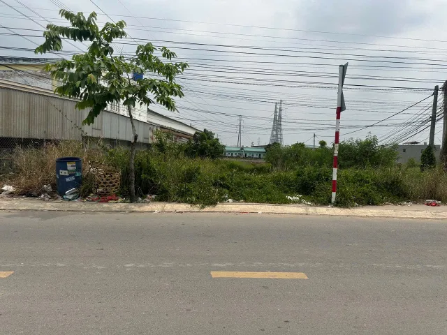 Bất động sản tại Long An - ảnh 1
