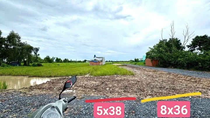 Bất động sản tại Long An - ảnh 1