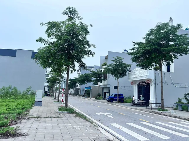 Bất động sản tại Hải Phòng - ảnh 1