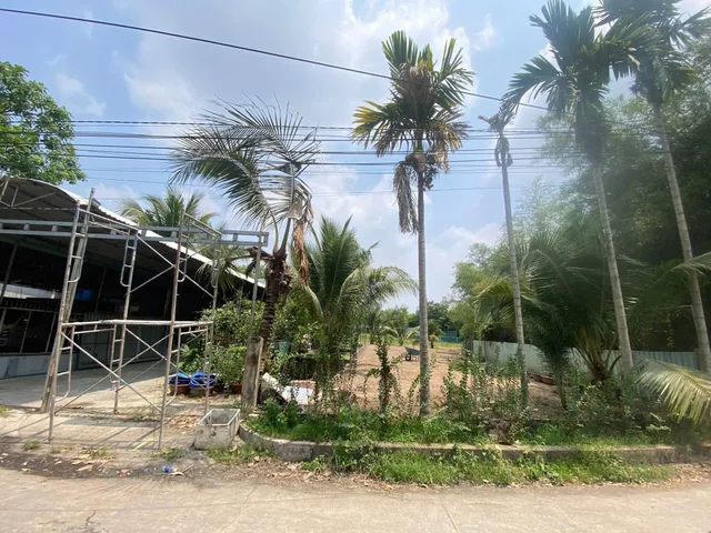 Bất động sản tại Bình Dương - ảnh 1