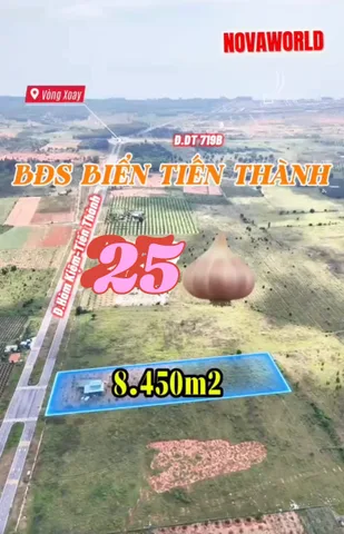 Bất động sản tại Lâm Đồng - ảnh 1